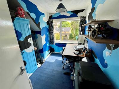 Picture 8